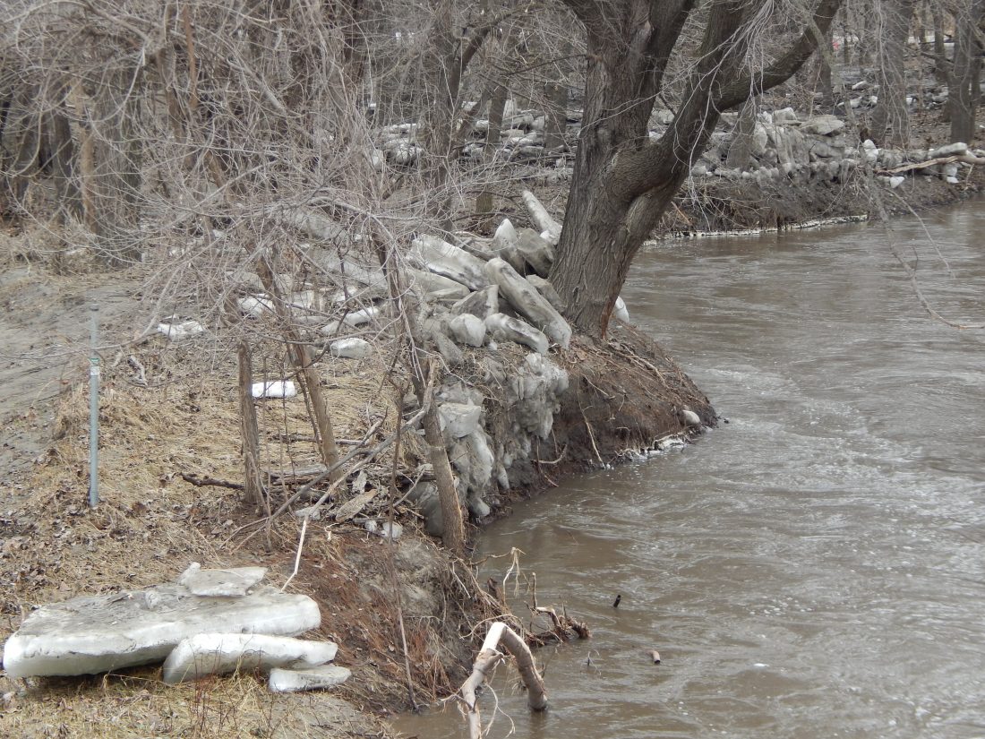 Cottonwood River flood warnings continue News, Sports, Jobs The Journal